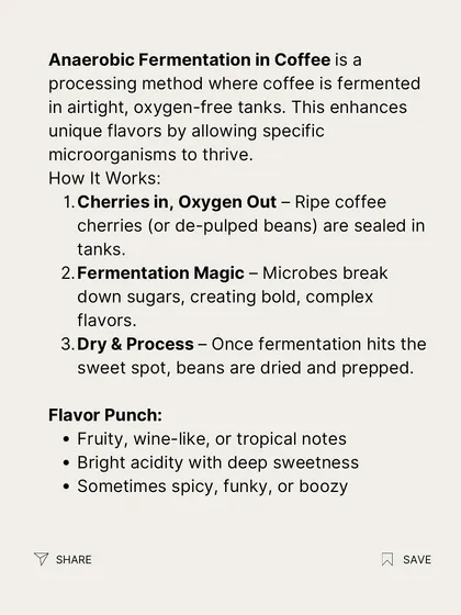 An infographic explaining how anaerobic fermentation works. We break down the process and the fruity, wine-like flavors it can produce.