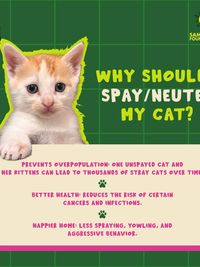 Spay/Neuter Awareness & Education