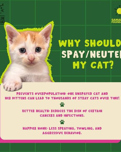 Spay/Neuter Awareness & Education