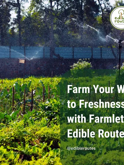 Don't have land? Our Farmlet service is your answer. We provide you with a 1200 sq. ft. plot on our farm, manage the cultivation of your chosen vegetables using organic methods, and deliver the fresh harvest to your door.