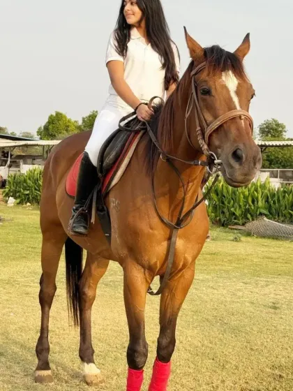 A happy rider on a happy horse. This photo captures the partnership and poise that develops with practice and dedication.
