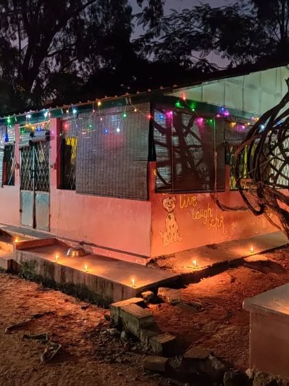 PetStepin - Pet-Friendly Events Quiet Zones for Noisy Festivals photo 9