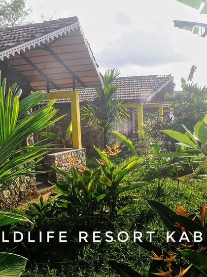 The beautiful cottages at Wildlife Resort Kabini, surrounded by lush tropical gardens. It's a tranquil oasis perfect for relaxing between safaris.