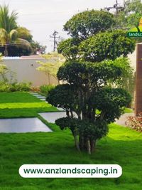 Garden Maintenance Services