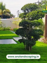 Garden Maintenance Services