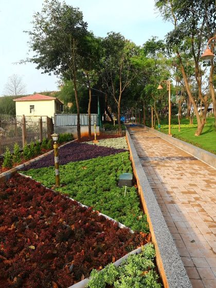 This public walkway is bordered by distinct sections of groundcover plants and a neat lawn. I use precise edging and trimming to maintain the clean lines of the landscape design.