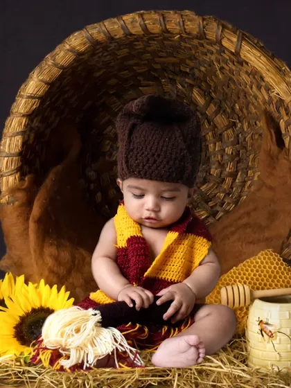A unique honeybee theme, complete with a honeycomb prop, sunflowers, and a cute knitted costume. This is a warm and sunny setup perfect for any time of year.