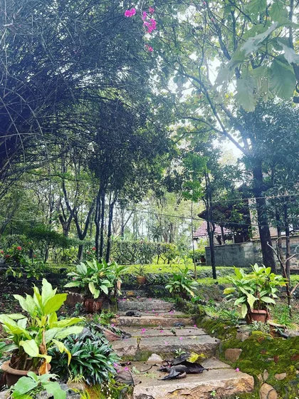 Stone steps leading through the garden at our retreat. Nature here is not just a backdrop but an active participant in our spiritual journey, offering its own silent teachings.
