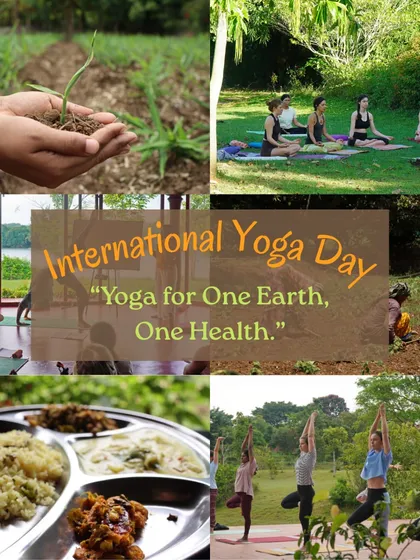 On International Yoga Day, we celebrate the connection between ourselves, each other, and the Earth. Our collage represents this holistic vision of "One Earth, One Health."