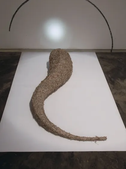 A singular, tail-like form from the 'Biography' series, laid out for display. This piece showcases a different shape within the collection, moving from leaf-like structures to more abstract, primal forms.