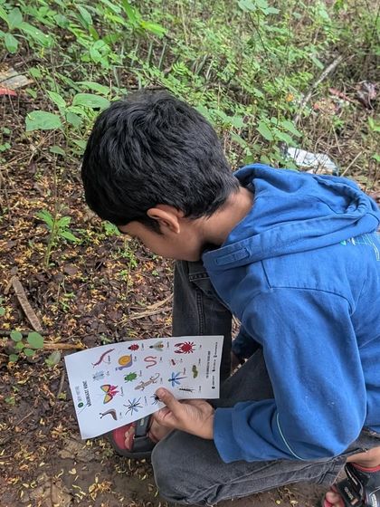 A young boy carefully studies his scavenger hunt list, searching for tiny creatures in the undergrowth. These activities sharpen observation skills and encourage focus.