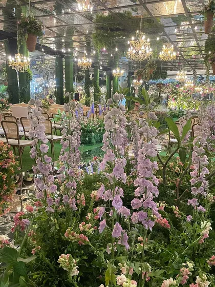 We love a challenge, and transforming an ancestral indoor hall into this magical, overgrown garden was a dream. With a mirrored ceiling reflecting thousands of blooms and chandeliers, we created an immersive environment to kick off the wedding festivities.