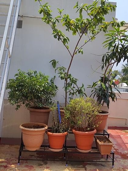 The Garden Hub - Custom Planter Stands Terrace Garden Transformations photo 17