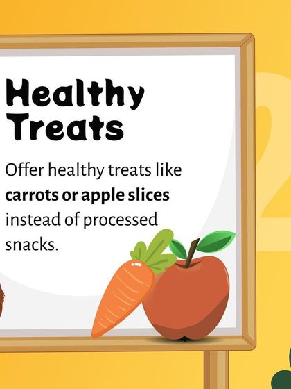 Pethowz - Pet Parent Education Pet Health & Wellness Essentials photo 5