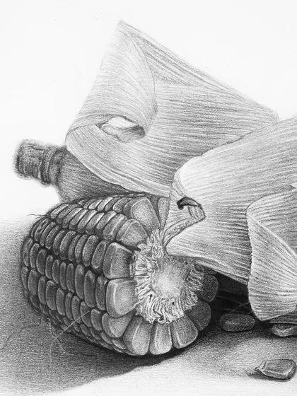 A detailed shot of the other side of the corn composition, focusing on the delicate, paper-like texture of the husk.