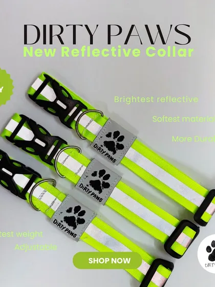 My new neon green reflective collar. This product shot highlights its features: brightest reflective material, softest feel, durability, and adjustable size.