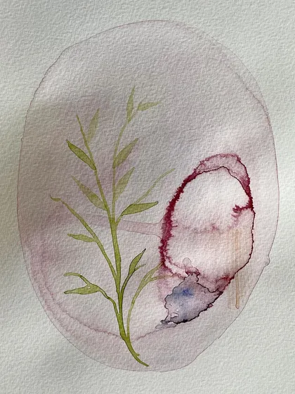 A delicate watercolour painting by Avnit Singh, featuring botanical elements. Her open studio was a chance for visitors to enter her world and share in her process.