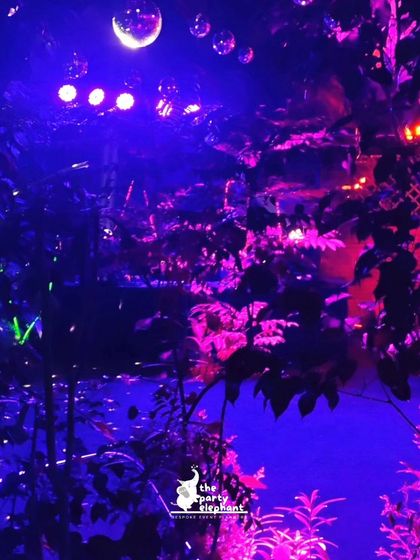 The Party Elephant - Milestone Celebration Planning Elegant Adult Celebrations photo 45