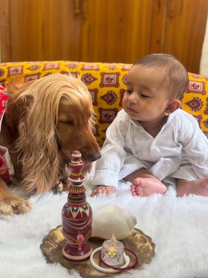 The two brothers sharing a curious look at the traditional Bengali 'shondesh' during the New Year puja.