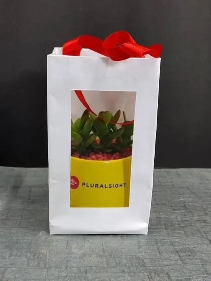 A Jade plant gift for Pluralsight, visible through the window of its elegant paper gift bag.