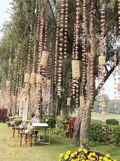 A wider view of the trees decorated with countless strings of sola flowers, creating a magical, weeping willow effect.