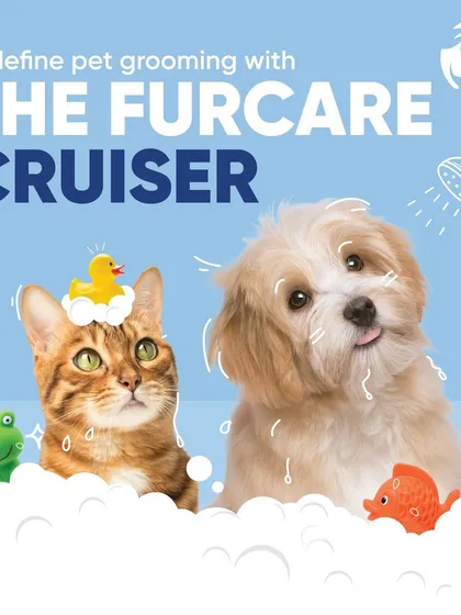 My mobile service is designed for both dogs and cats. I bring everything needed for a complete bath and grooming session, making professional pet care easier than ever for all your furry family members.