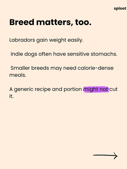Breed matters too. Labradors are prone to weight gain, while Indie dogs often have sensitive stomachs. A generic recipe and portion size might not be enough.