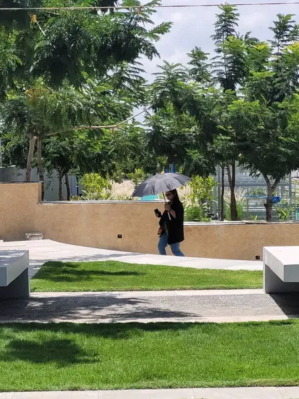 Even on a cloudy day, the value of a well-placed tree is clear. This image captures a moment of passage through a residential landscape, where the growing trees will soon provide essential shade for pathways and seating areas.