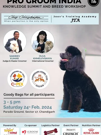 We partner with top international brands like Chris Christensen to bring you advanced training. This poster announces our 'Pro Groom India' knowledge summit and breed workshop, where we dive deep into specific grooming techniques alongside other international experts.