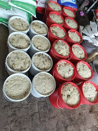 This is what it takes to feed hundreds of animals every single day. Our community kitchen prepares massive quantities of fresh food, packed into buckets and ready for our feeding routes. This isn't just charity; it's a large-scale daily operation to fight hunger on the streets.
