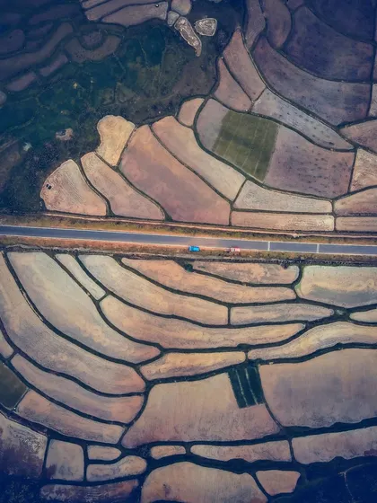 An aerial top-down view of a paddy field in Sringeri, Chikmagalur. The geometric patterns of the fields and the road cutting through create a beautiful composition.