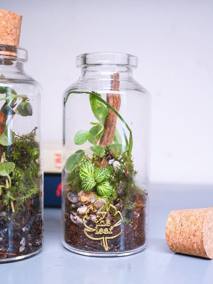 Tiny Botanical Treasures photo 6