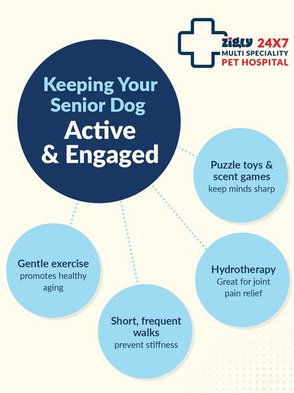 Zigly - Pet Supplies Expert Pet Care Advice photo 22