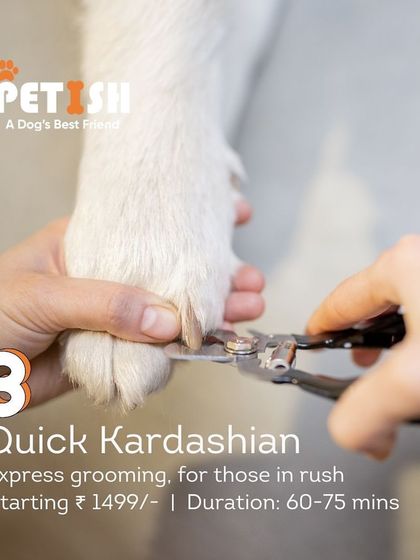 Petish Grooming - Mobile Grooming for Dogs & Cats Our Grooming Packages photo 7