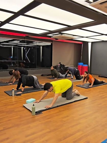 Deep Dive: Studio Asana & Technique photo 35