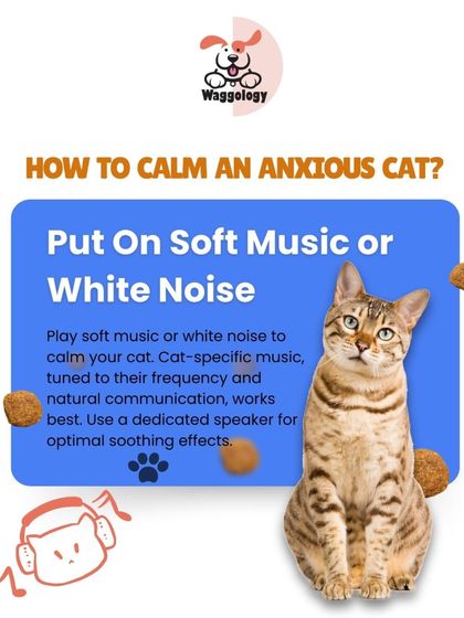 Did you know that soft music or white noise can help soothe an anxious cat? This tip explains how sound can be used to create a calming environment for your feline friend.