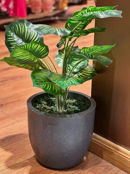 This artificial Calathea plant features stunningly realistic leaf patterns. It's an ideal choice for adding a touch of decorative foliage to a corner without worrying about humidity or light conditions.