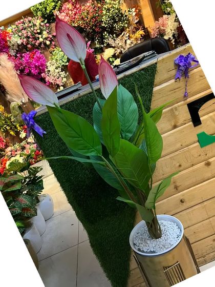 This artificial anthurium plant with its distinct pink and white flowers adds a subtle touch of color. It's potted with white pebbles for a clean, finished look, making it a great accent piece for a desk or shelf.
