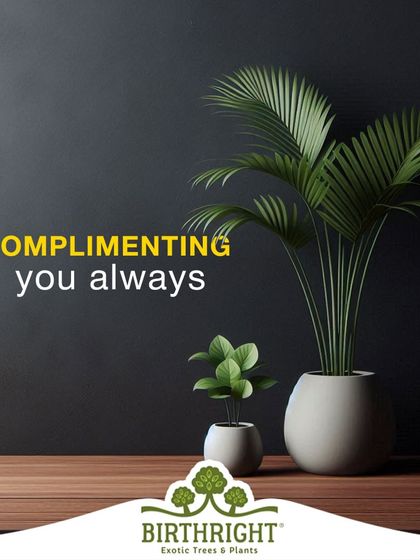 Plants are always complimenting your space, just like a true friend. Celebrate your supportive friendships with a gift that grows.