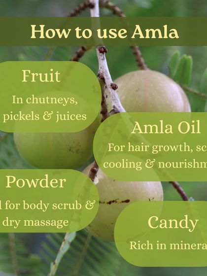 Discover the benefits of Amla, or Indian gooseberry, a fruit treasured in Ayurveda for its rejuvenating properties. We show you how to use it in everything from chutneys to hair oil.