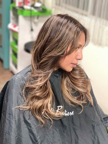 Ali Barbiere - Dimensional Color & Blonding Balayage & Dimensional Brunettes photo 144