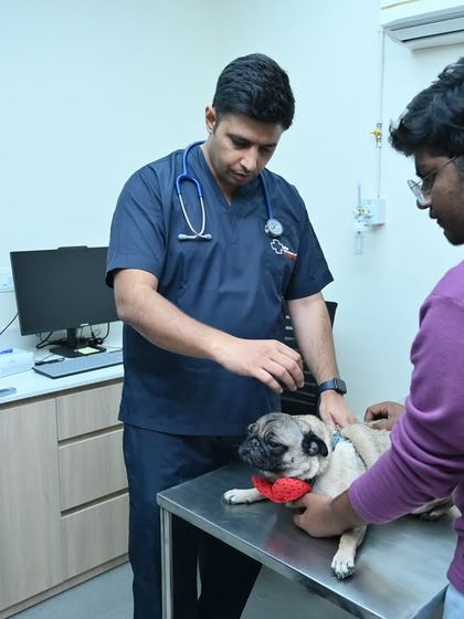 Zigly - Veterinary Services A Look Inside Our Hospitals photo 10