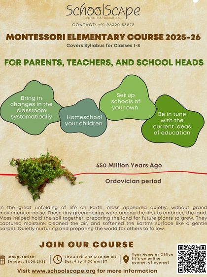 This flyer outlines the practical outcomes of our Elementary Course, empowering you to homeschool, set up your own school, or bring current ideas of education into your classroom.