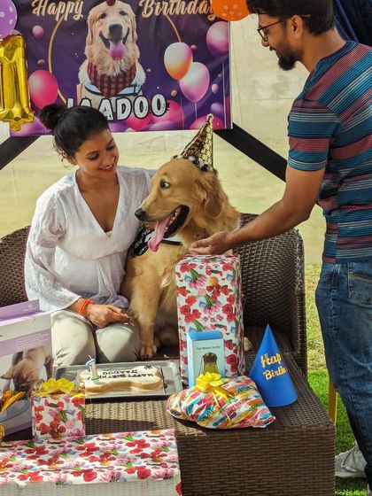 Fluffy Paws Pet Resort - Pet Cafe & Event Hosting Pawsome Birthday Parties photo 4