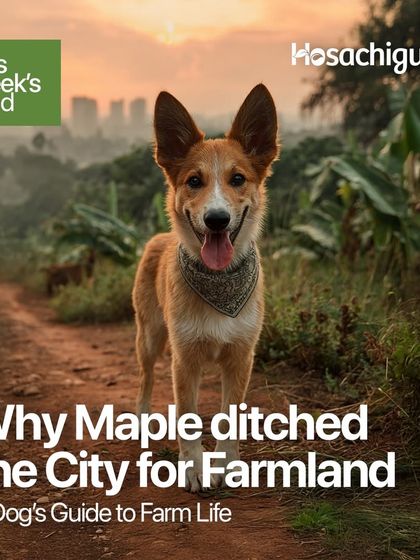 Our farm dog, Maple, ditched the city for farmland and wrote a blog about it. From cow hugs to compost pits, she spills the beans on why this life is paws-down the best.