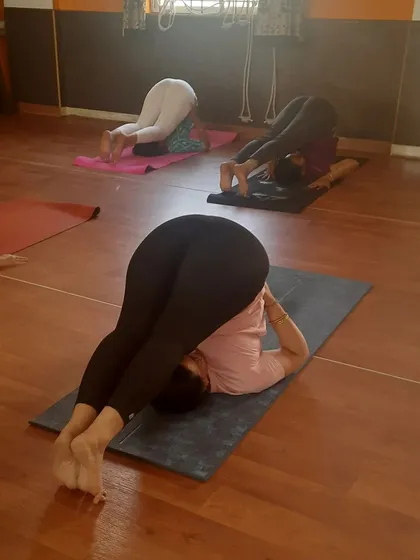 The Halasana, or Plough Pose, is a core part of my therapeutic sequences. I guide students through this asana to help regulate metabolism for thyroid health, manage blood pressure and diabetes, and alleviate chronic back pain.