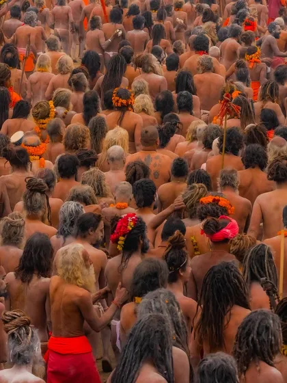 The backs of countless Naga sadhus, their matted hair (jata) creating a unique and powerful texture. This perspective highlights their unity and shared identity.