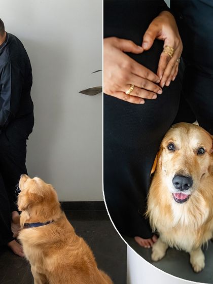A collage showing Hugo the Golden Retriever looking up lovingly at his parents, paired with a close-up of him sitting patiently by their side, his face full of expression.