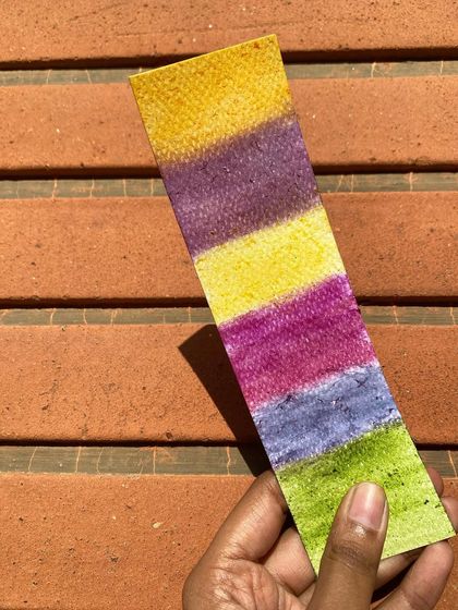 A rainbow made entirely from nature's crayons. I used different flowers and leaves like Bougainvillea and Marigold to create this colourful swatch on handmade paper.