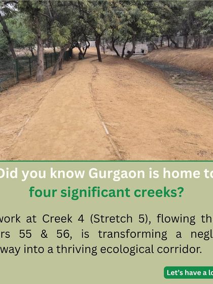 This infographic introduces our work at Creek 4 in Sector 56. We are transforming this neglected waterway, one of four significant creeks in Gurgaon, into a thriving ecological corridor.
